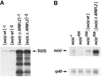 FIG. 6