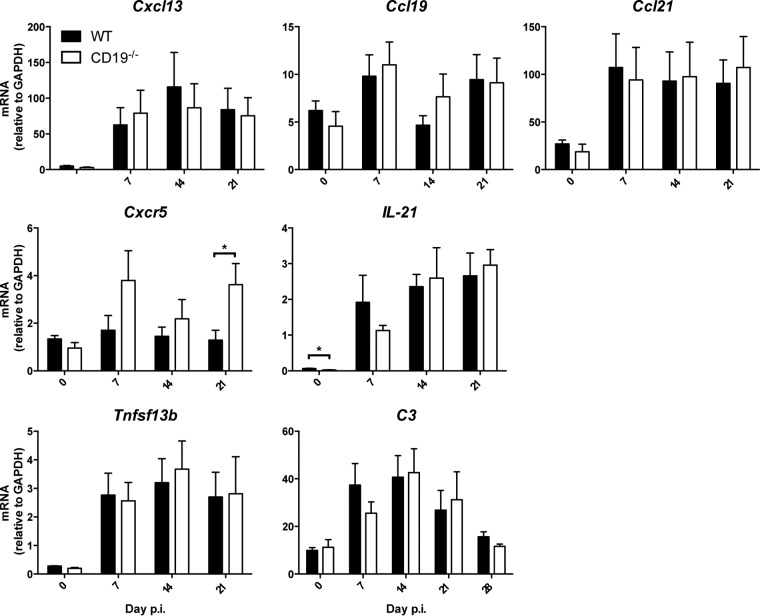 FIG 2