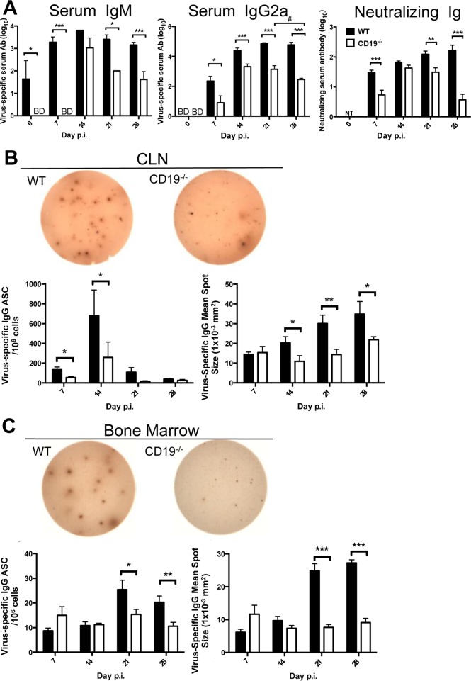 FIG 3