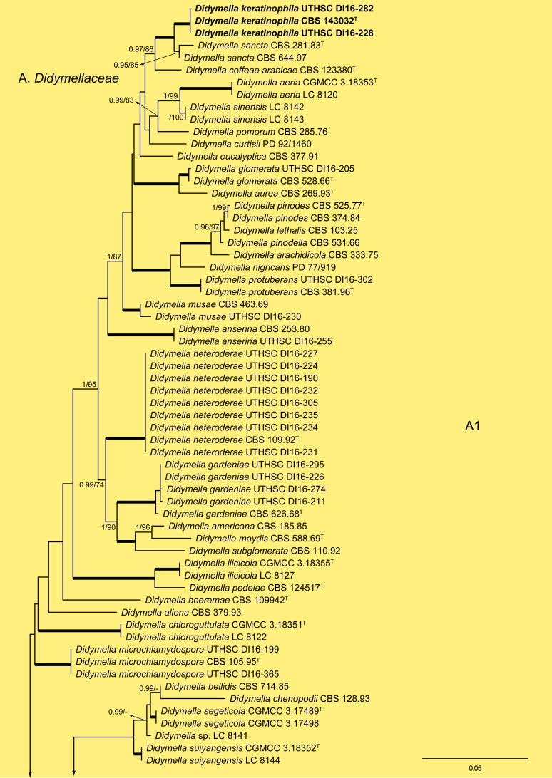 Fig. 1