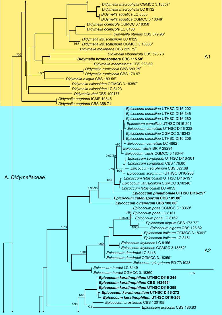 Fig. 1