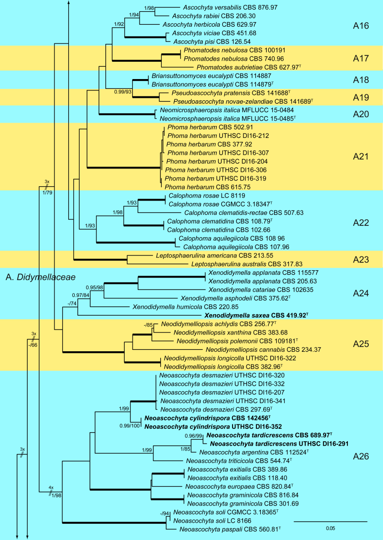 Fig. 1