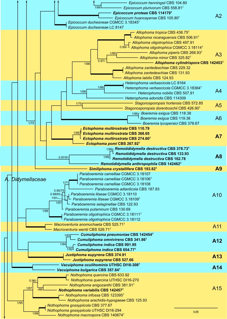 Fig. 1