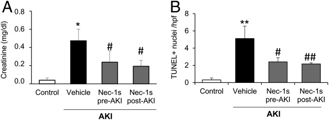 Fig. 8.