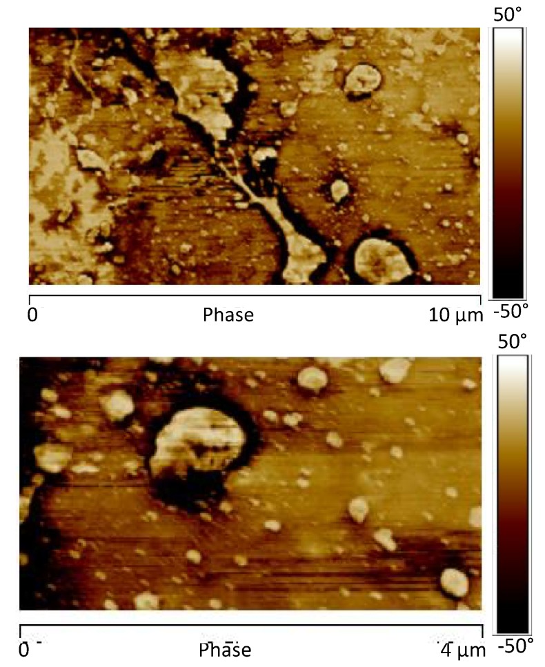 Figure 16