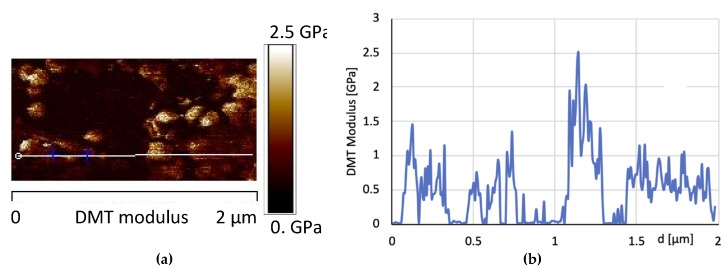 Figure 15