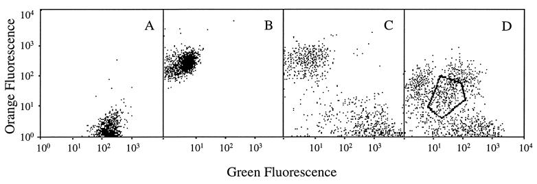 FIG. 1