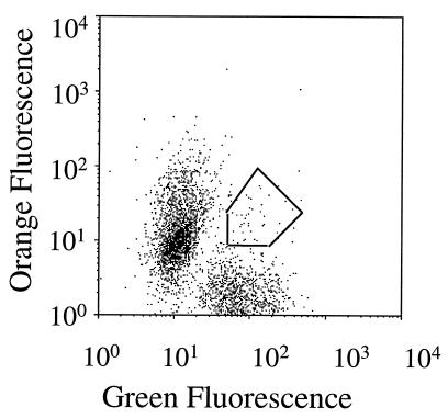FIG. 3