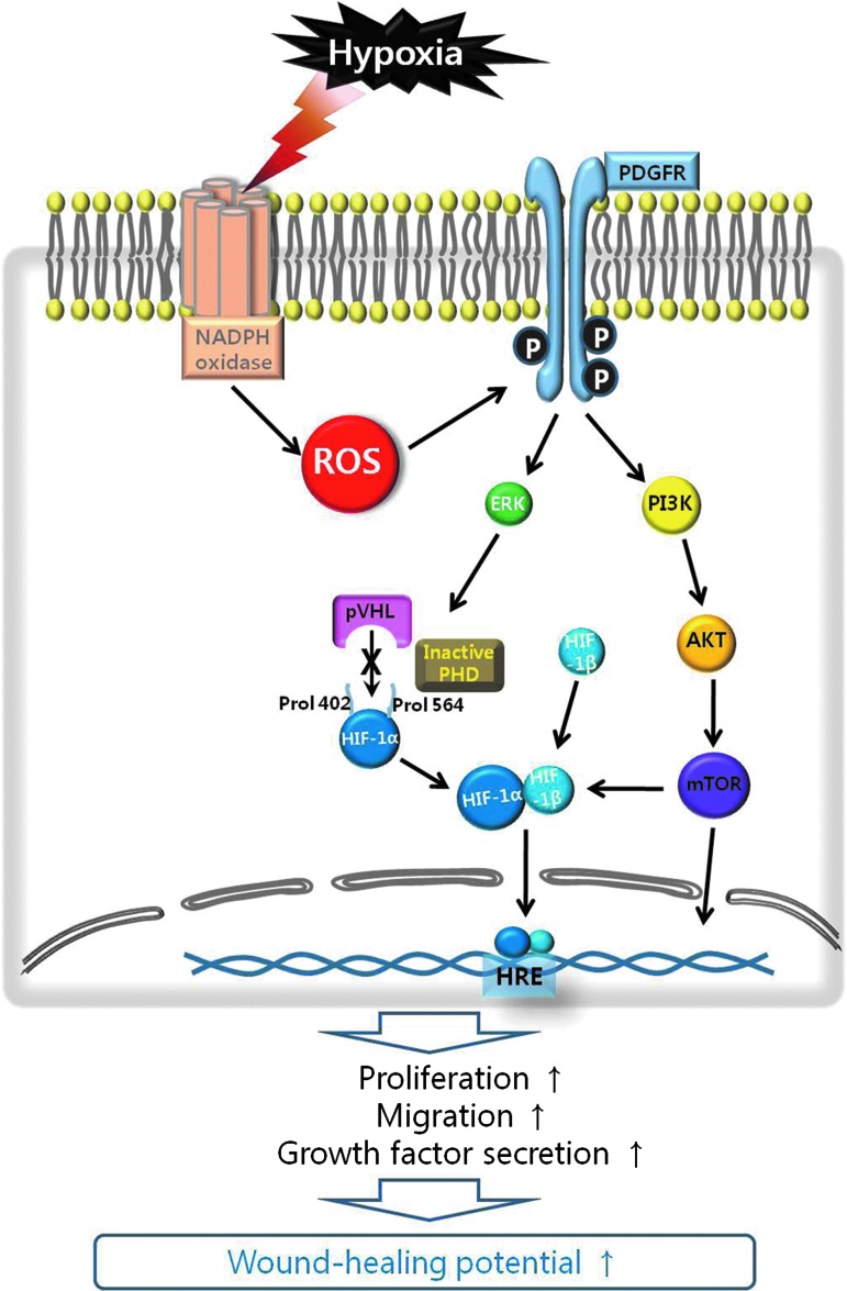 graphic file with name fig-1.jpg