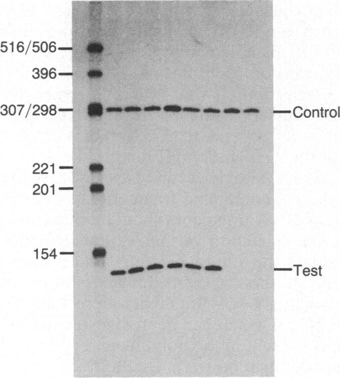 graphic file with name pnas00347-0094-a.jpg