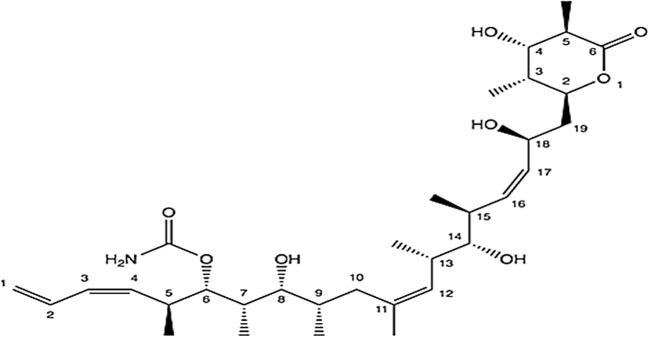 Fig. 6