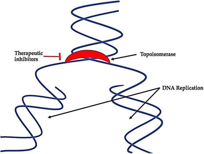 Fig. 11