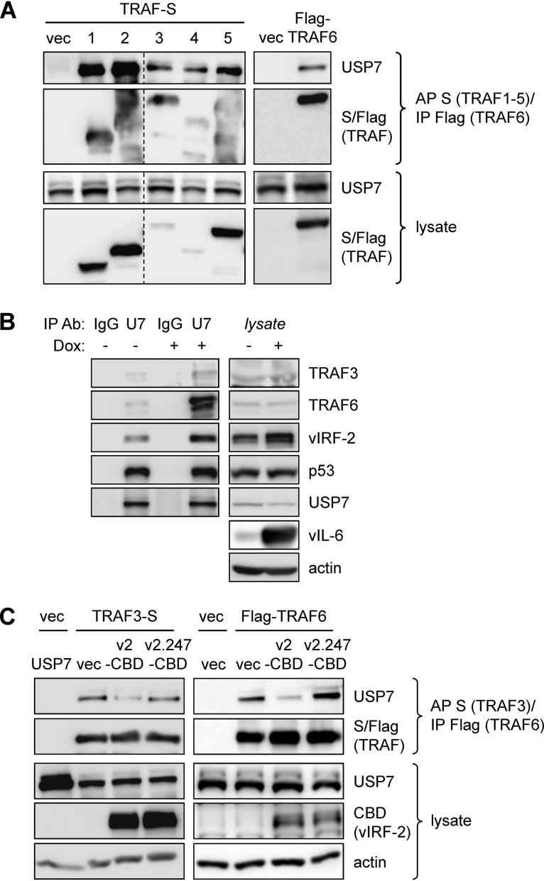 FIG 6