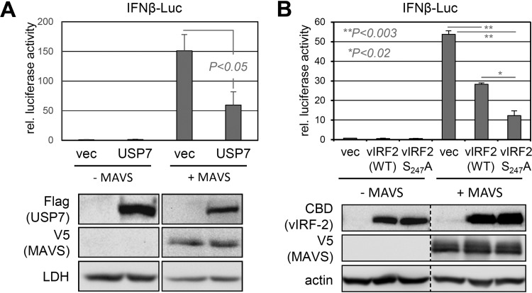 FIG 4