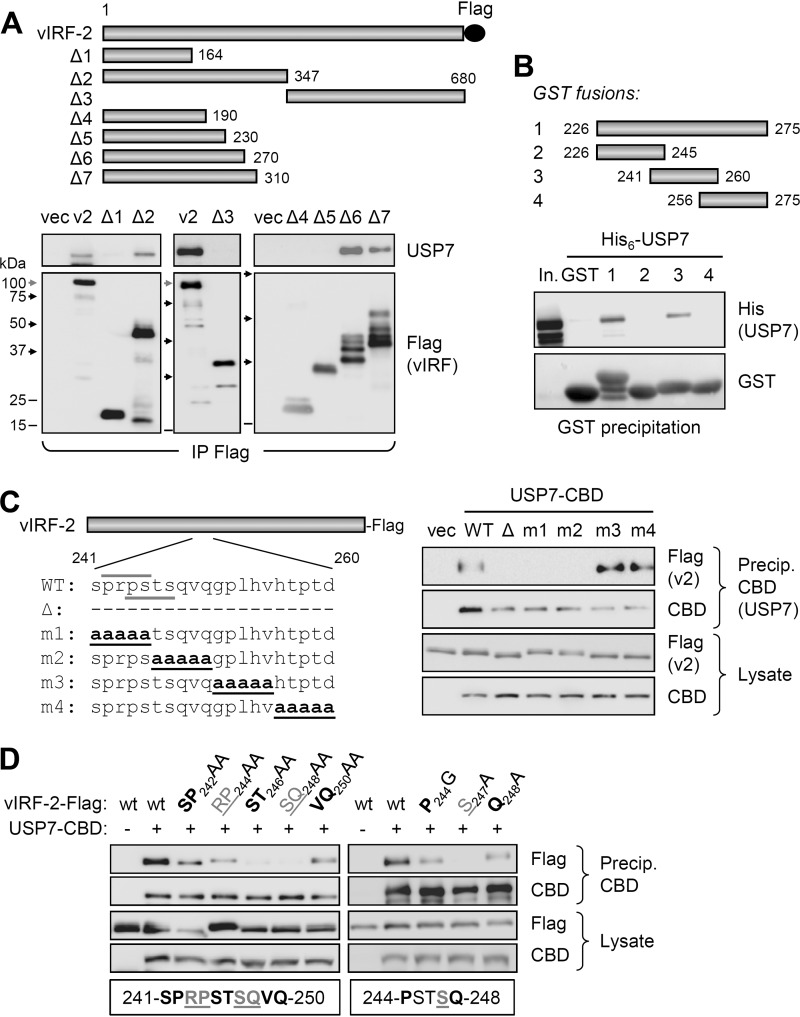 FIG 2