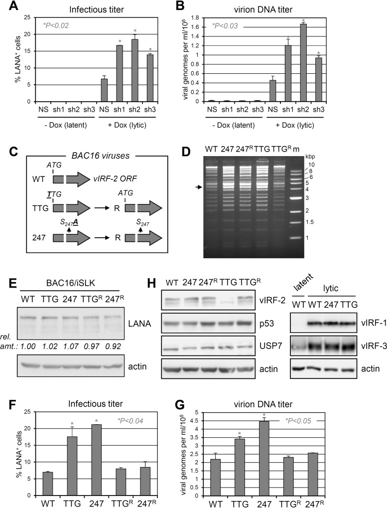 FIG 9