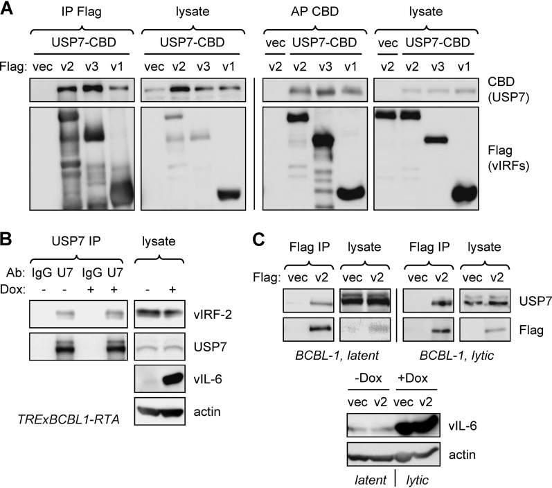 FIG 1