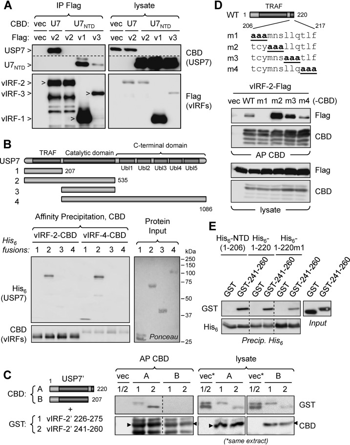 FIG 3