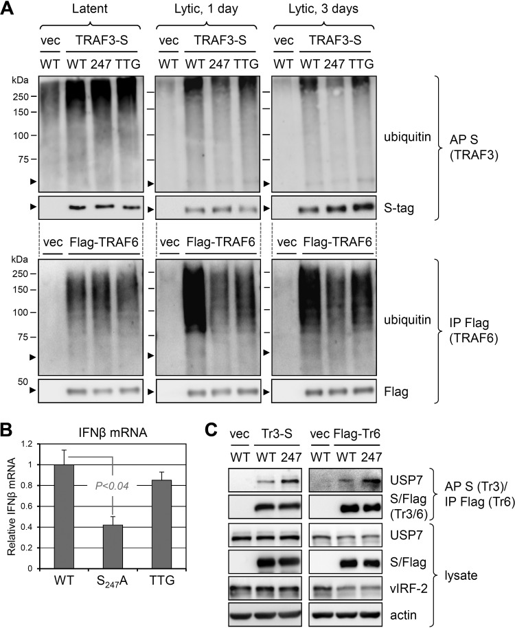 FIG 10