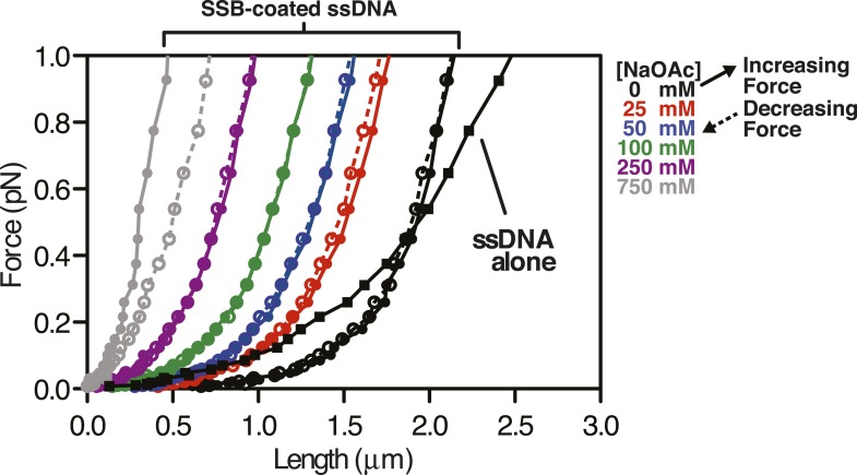 Figure 4—figure supplement 1.