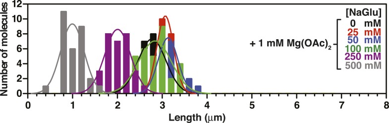 Figure 3—figure supplement 6.