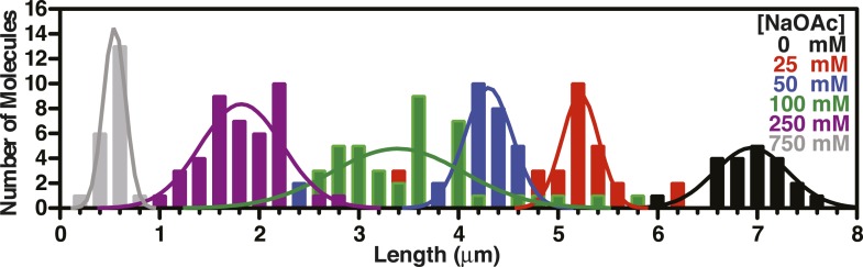 Figure 3—figure supplement 2.