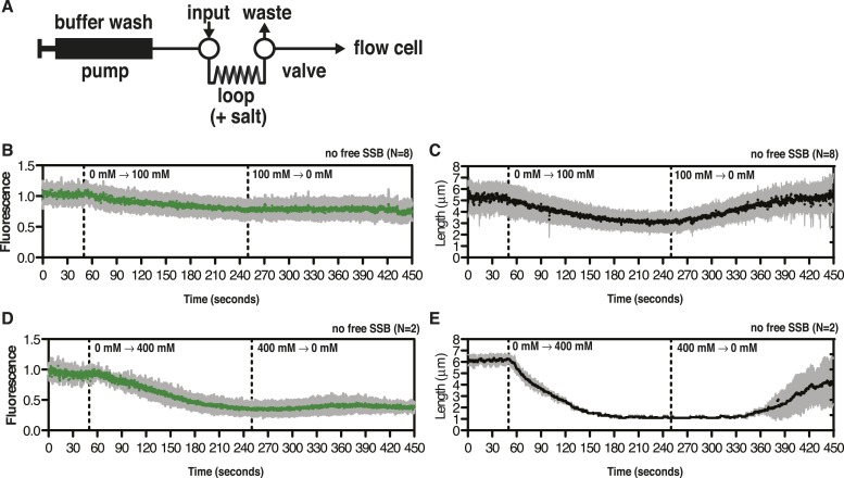 Figure 2—figure supplement 1.