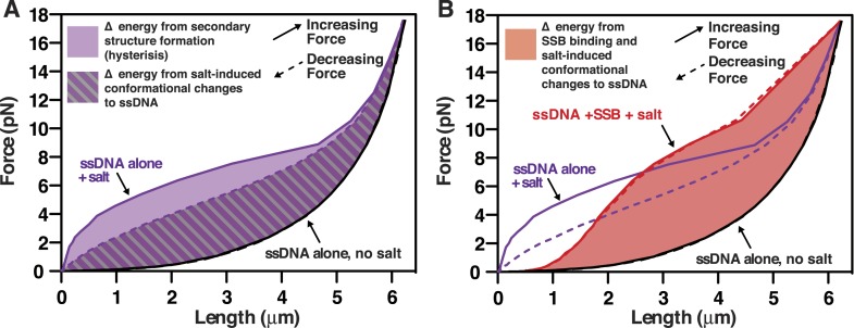 Figure 5—figure supplement 1.