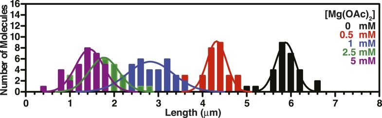 Figure 3—figure supplement 4.