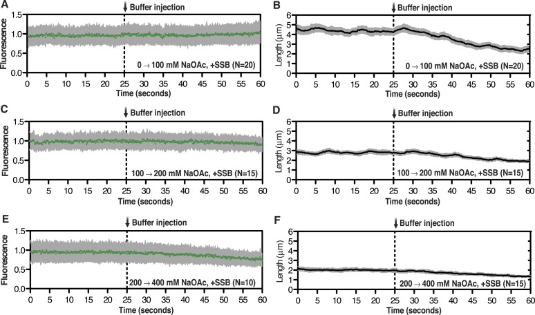 Figure 1—figure supplement 1.