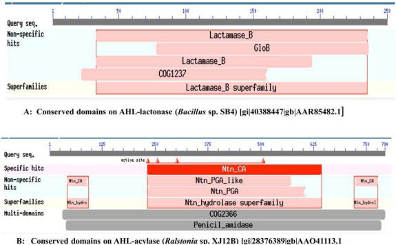 Fig. (1)