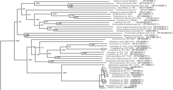 Fig. (4)