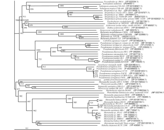 Fig. (5)