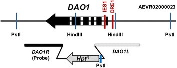 Fig. 2