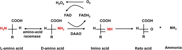 Fig. 1