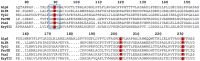 FIG 3