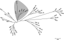 FIG 6