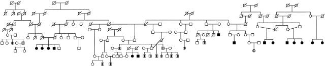 Figure  1