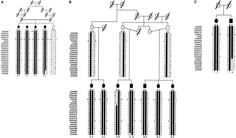 Figure  2