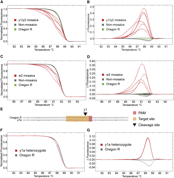 Figure 4