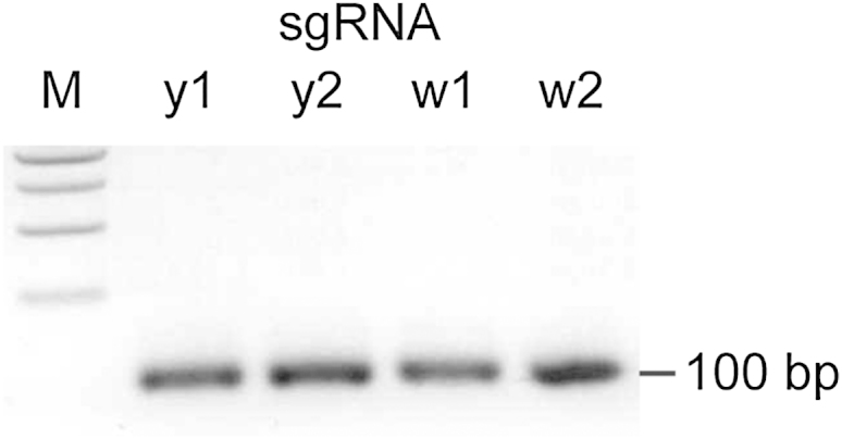 Figure S1