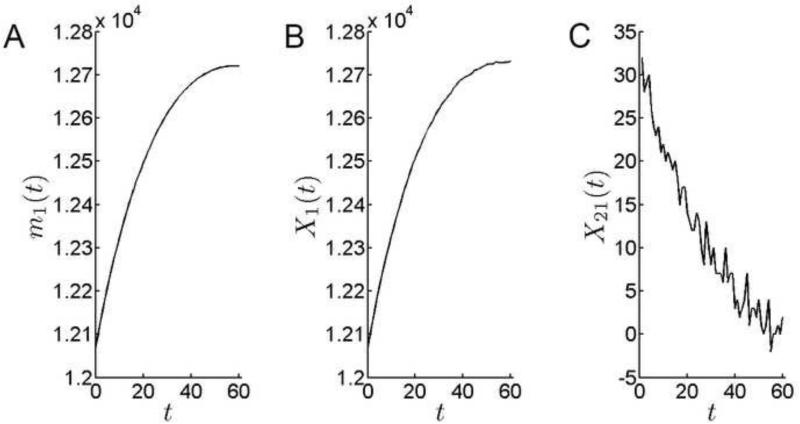 Figure 8