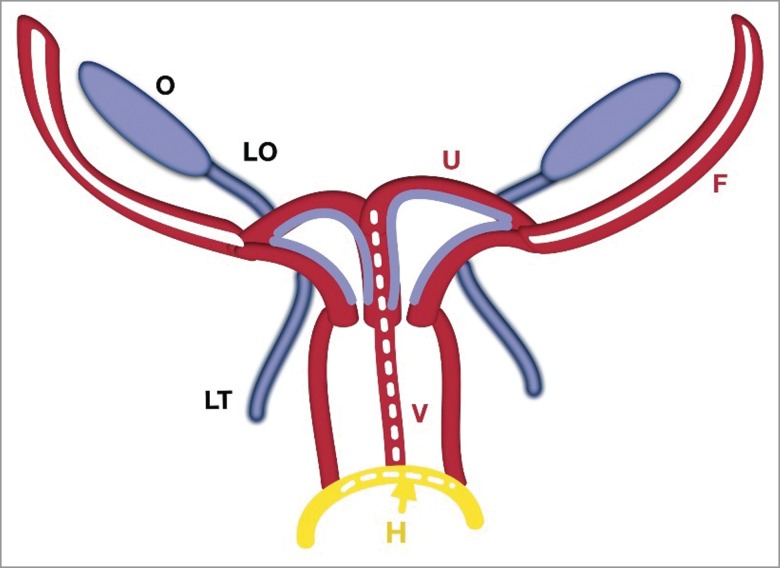 FIGURE 4.