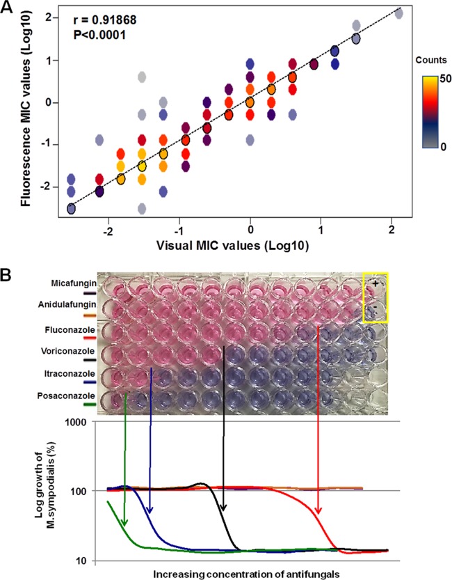 FIG 1