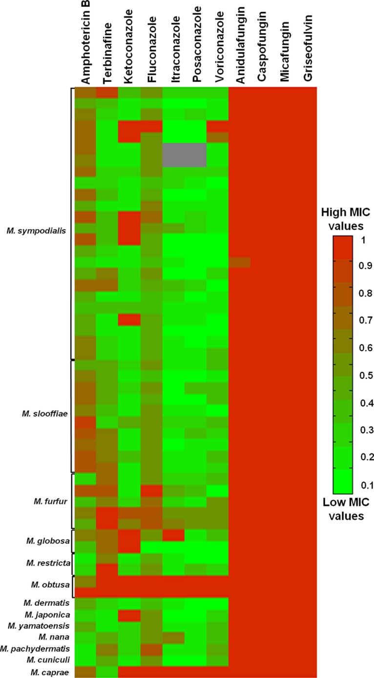 FIG 2