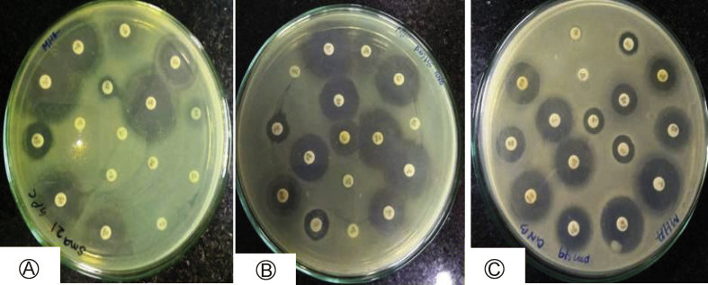 Fig. 2