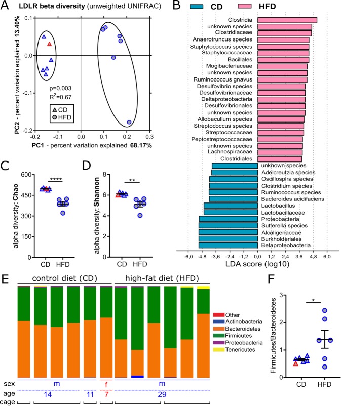 FIG 1