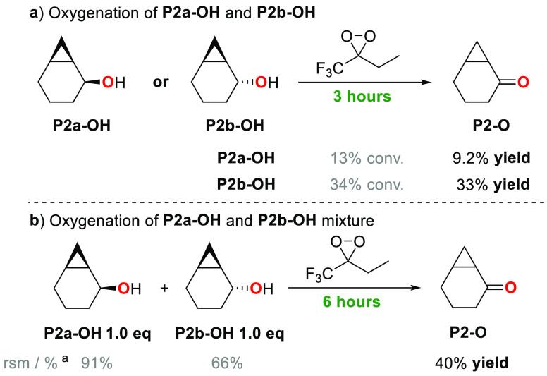 Scheme 5