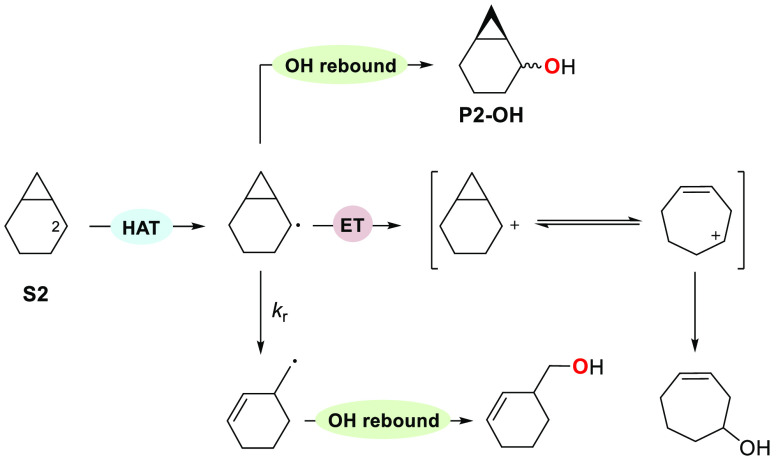 Scheme 7