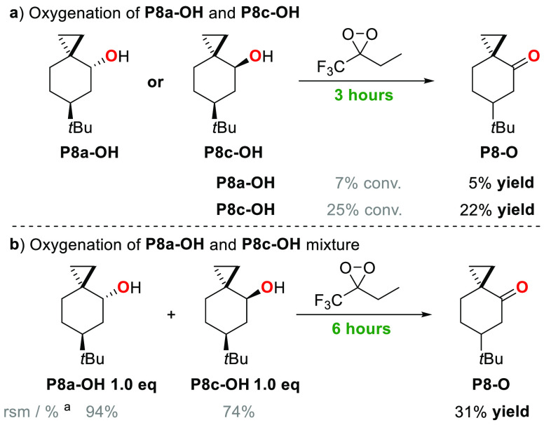 Scheme 6